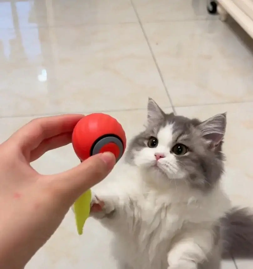 "Interactive Cat Toy Ball - Self-Moving Smart Ball with Tail, Auto-Dodge & Endless Fun! 😻⚡"