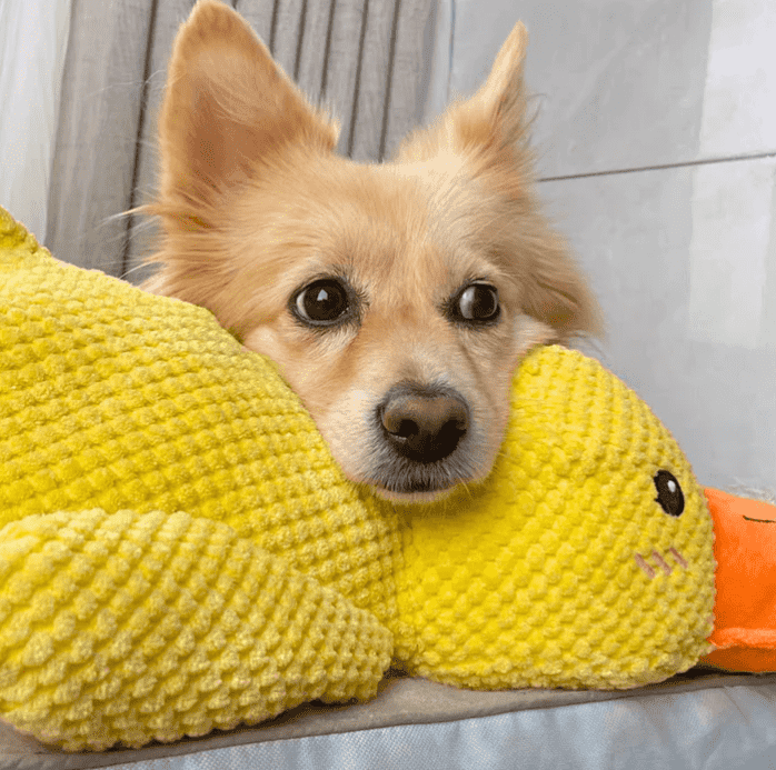 🦁duck pet toyspecial color optimized for dog vision Dog toy