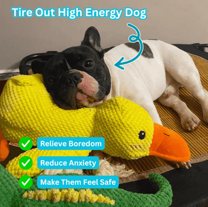 🦁duck pet toyspecial color optimized for dog vision Dog toy
