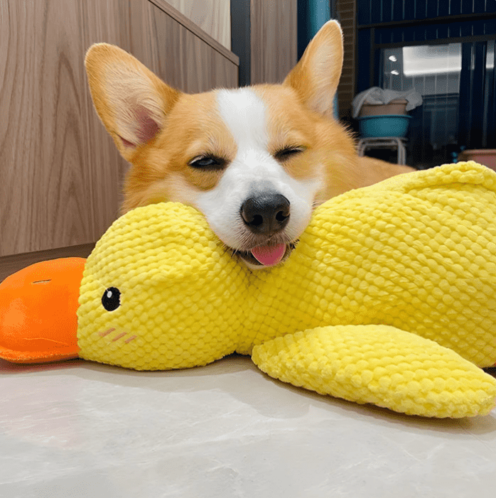 🦁duck pet toyspecial color optimized for dog vision Dog toy