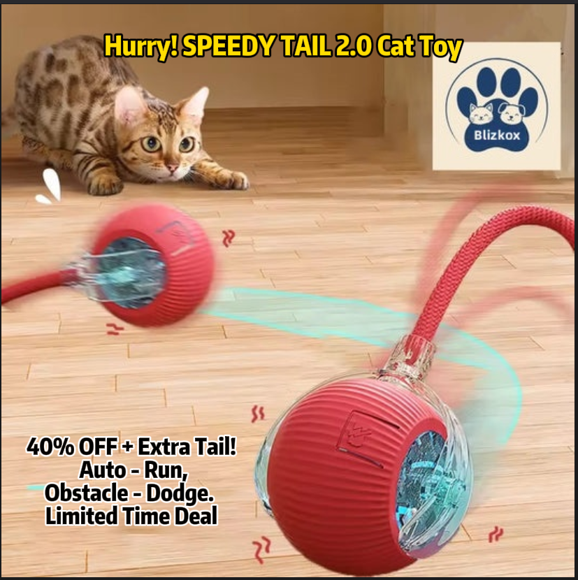 "Interactive Cat Toy Ball - Self-Moving Smart Ball with Tail, Auto-Dodge & Endless Fun! 😻⚡"