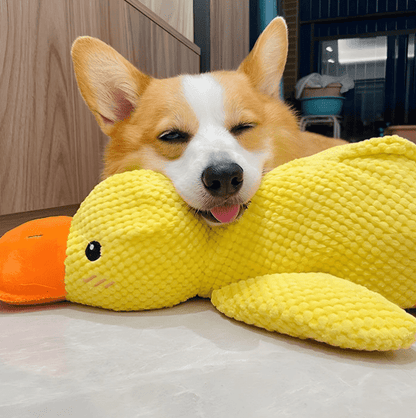 🦁duck pet toyspecial color optimized for dog vision Dog toy